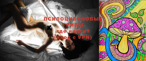 индика Алзамай