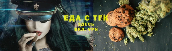 индика Алзамай