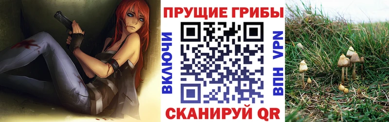 Псилоцибиновые грибы мицелий  kraken зеркало  Артём  наркотики 